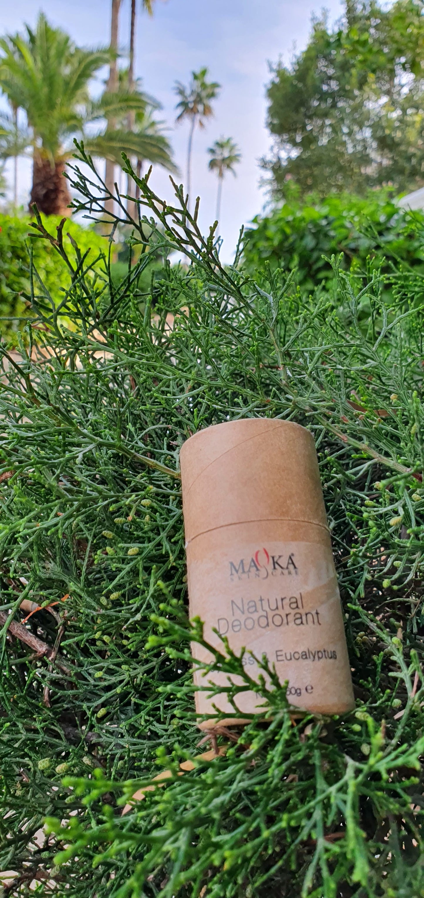 Dezodorant Cyprysowo i Eukaliptusowy Mayka Skincare