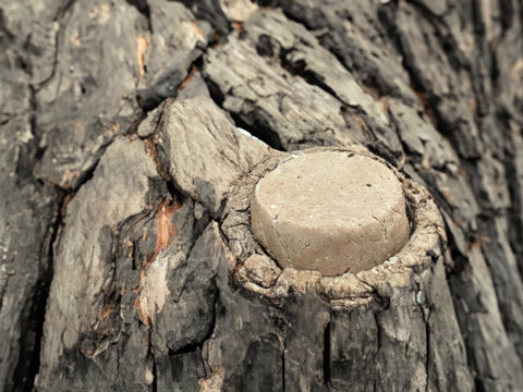 Amla i Hibiskus - Szampon w Kostce 80g