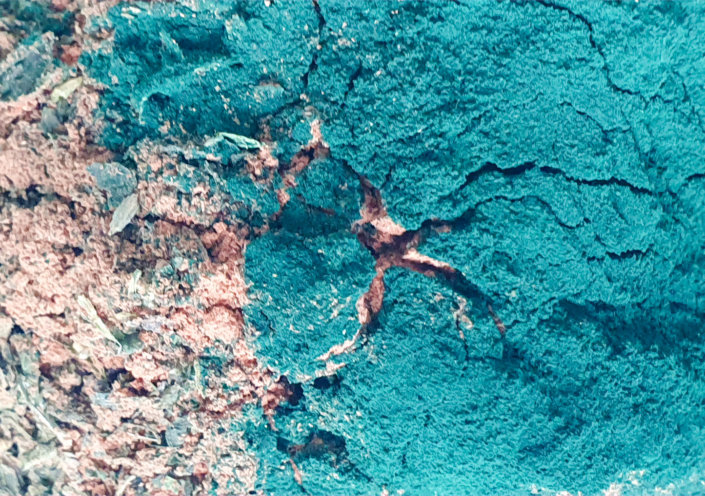 Tonik do twarzy z Niacynamidem - Pokrzywą Mayka Skincare